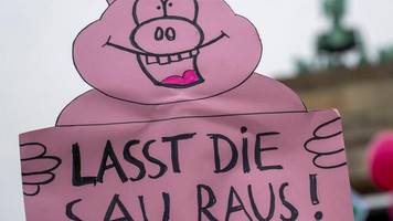 Agrar: Mit Traktoren und Schweinefiguren – Protest für Agrarwende