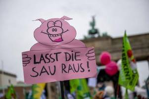 Mit Traktoren und Schweinefiguren - Protest für Agrarwende