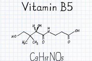 Warum Vitamin B5 so wichtig für uns ist: Wirkung und Mangel-Symptome