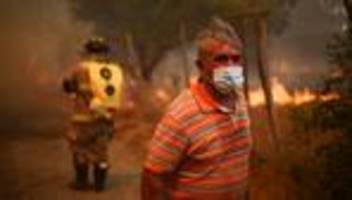 südamerika: waldbrände breiten sich von argentinien nach chile aus