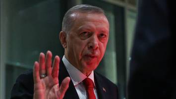 Die Folgen des Türkei-Bebens - Erdogan wird jetzt eiskalt kalkulieren - doch er hat einen Schwachpunkt