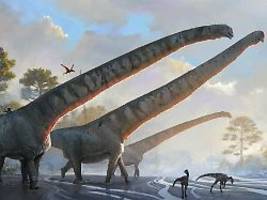 sechsmal so lang wie bei giraffe: dinosaurier mit bislang längstem hals entdeckt