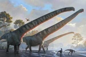 Dinosaurier mit bislang längstem Hals entdeckt