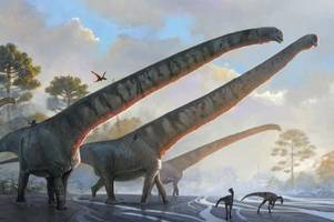 Forschende finden Dinosaurier mit bislang längstem Hals