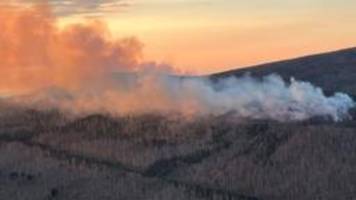 Neue Konzepte: Wie Waldbrände verhindert werden können