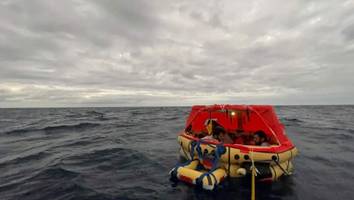 Segelunfall mitten im Pazifik - Deutscher kollidiert mit Wal: „Boot war einfach weg“
