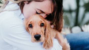 Haustier trotz Allergie - Mit der richtigen Therapie können auch Allergiker endlich Haustiere haben
