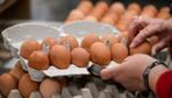 ostern: freilandhaltung und bio-eier auf dem vormarsch