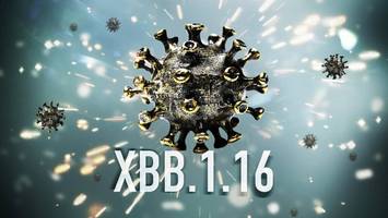 xbb.1.16 auf dem vormarsch - „ein neues kind“ von arcturus – neue mutationen bereiten experten sorgen