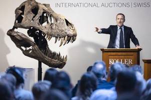 Seltenes T. rex-Skelett bleibt nach Versteigerung in Europa