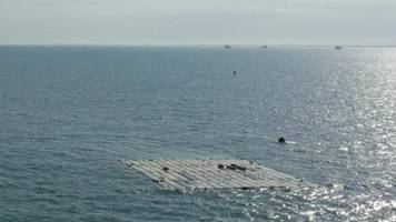 Tracking der Energiewende: Die Niederlande machen es vor: So kann das Meer zum Solarpark werden