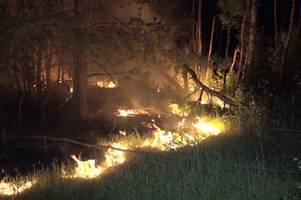 Warnung der Stufe 3: Waldbrandgefahr steigt in Augsburg und der Region