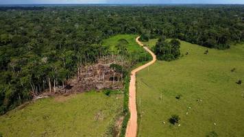 klimawandel: brasilien stellt plan zum stopp der abholzung im amazonasgebiet vor