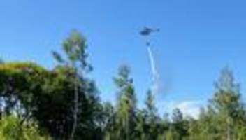 Waldbrände: Feuer im Habichtswald: Polizei ermittelt zwei Tatverdächtige