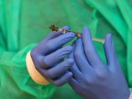 schäden durch corona-impfung?: gericht in rottweil macht biontech-kläger wenig hoffnung