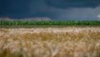 landwirtschaft: eu-kommission will offenbar lockerungen bei gentechnik vorschlagen