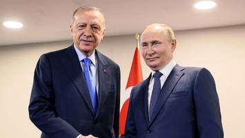 Gastbeitrag von Gerhard Mangott - Wenn Putin jetzt Hin-und-Her-Erdogan verstößt, schießt er ein Eigentor