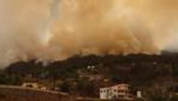 la palma: mehr als 4.500 hektar land innerhalb weniger stunden verbrannt