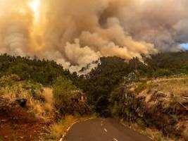 innerhalb weniger stunden: tausende hektar land verbrennen auf spanischer ferieninsel