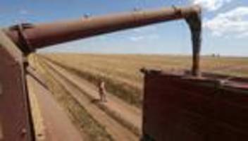 Schwarzes Meer: Russland lehnt Verlängerung des Getreideabkommens ab