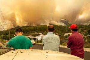 waldbrand auf la palma: mehr als 4200 menschen in sicherheit gebracht