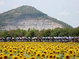 Der Geschmack der Tour de France: Auch Radprofis sind Leckermäuler