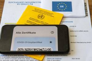 EU bekräftigt Plan zur Digitalisierung des gelben Impfpasses