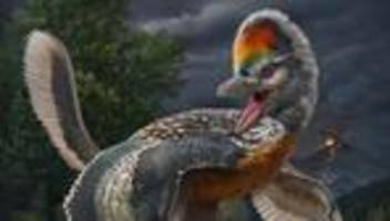 dinosaurier: jurassic truthahn