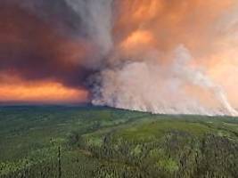 Rauch von Kanada bis nach Europa: Waldbrände auf Nordhalbkugel rekordverdächtig