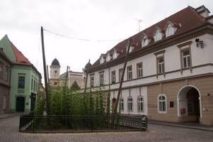 Tschechien: Saazer Hopfenlandschaft wird Unesco-Welterbe