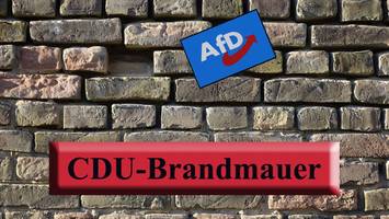 Historiker und CDU-Mitglied Rödder - „Die AfD hat das Ziel, die Union zu zerstören“