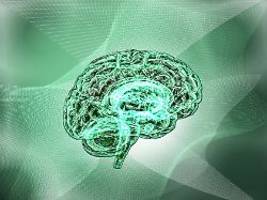 Milliardenschwere Wissenschaft: Was das Human Brain Project hervorgebracht hat