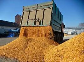 Polen macht weiterhin Druck: Slowakei und Ukraine einigen sich auf Getreideimport
