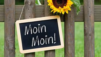 Komischer Gruß - „Moin“ oder „Moin Moin“: Was ist eigentlich der Unterschied?