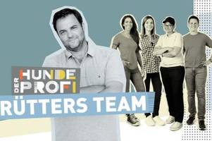 Der Hundeprofi - Rütters Team vorgestellt: Das sind die Hundetrainer