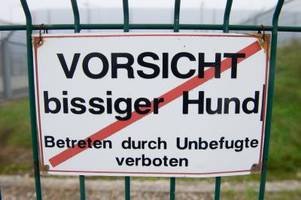 was tun nach hundebiss? warum sie die polizei rufen und zum arzt sollten