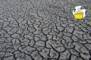 Wie wollen die Parteien uns gegen den Klimawandel schützen?
