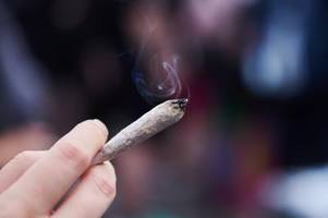 Bayern will Cannabis-Konsum mit zentraler Kontrolleinheit einschränken