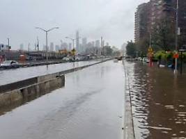 Seelöwin büxt aus: New York versinkt in Regenfluten