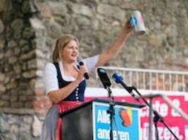 afd und kultur: kriegserklärung