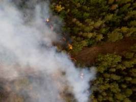 hitzewelle löst erneut feuer aus: tausende menschen fliehen vor waldbrand auf teneriffa