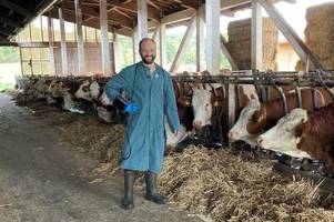 Stress statt Streichelzoo: In Bayern gibt es immer weniger Tierärzte