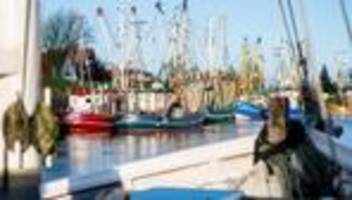 eu-kommission: deutschland darf fischer für brexit-folgen mit millionen entschädigen