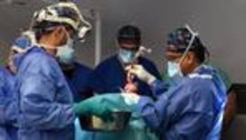 Herztransplantation: Zweiter Patient nach Schweineherz-Transplantation gestorben