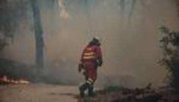 notfälle: großer waldbrand im osten spaniens