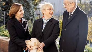 alexander van der bellen - dreibeiniger hund beißt Österreichs bundespräsidenten auf staatsbesuch in moldau