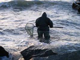 Wasser bis zur Hüfte: Junge Bernsteinsammler aus Nordsee-Flut gerettet