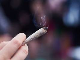 datum steht fest: ampel entschärft cannabis-gesetz