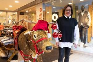 rentiere, bäume und king kong: augsburgs geschäfte dekorieren für weihnachten