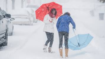 Bis zu minus 20 Grad - Schock-Kälte in ganz Deutschland! So schützen Sie Auto, Hund, Haus und Körper